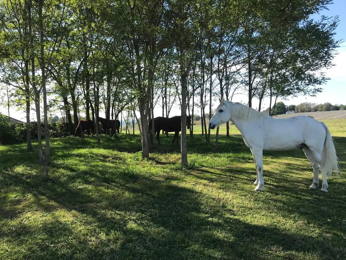 Gite Ferme Equestre Avec Piscine Castex  Holiday home Castex (Gers)