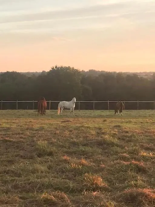 Holiday home Gite Ferme Equestre Avec Piscine Castex