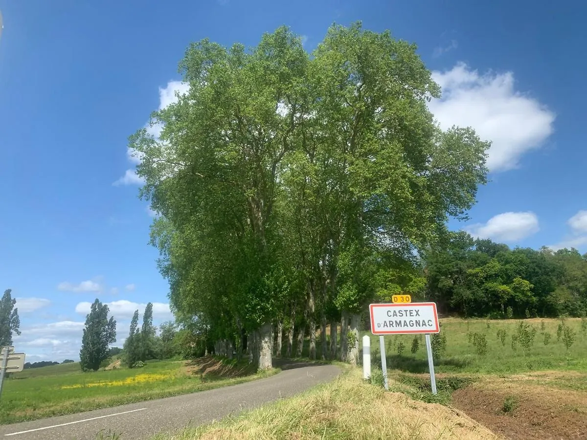 Holiday home Gite Ferme Equestre Avec Piscine Castex  France